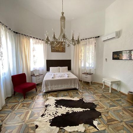 Alacati Albatross Hotel Exteriér fotografie